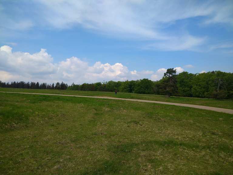 Burgstall aus dem Mittelalter Wanderungen und Rundwege komoot