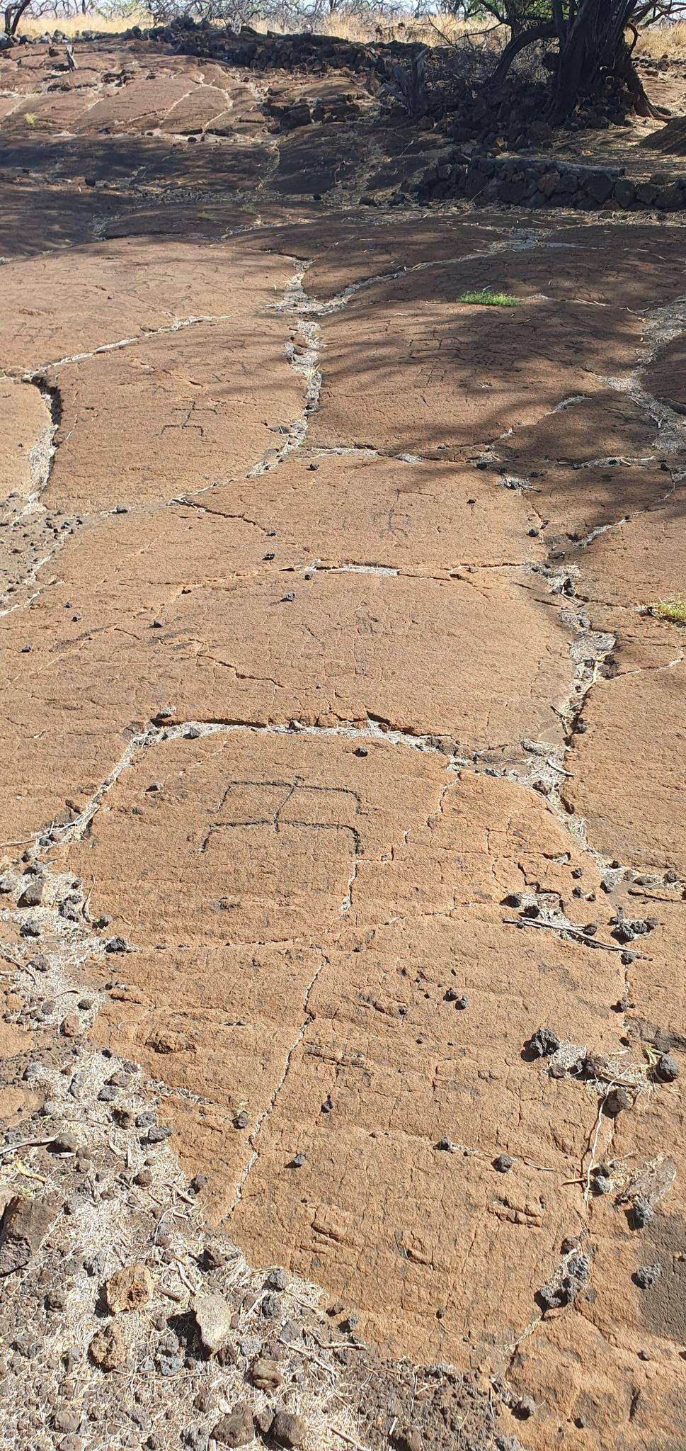 Close-up of ancient carvings on a flat, reddish-brown rock surface in sunlight.