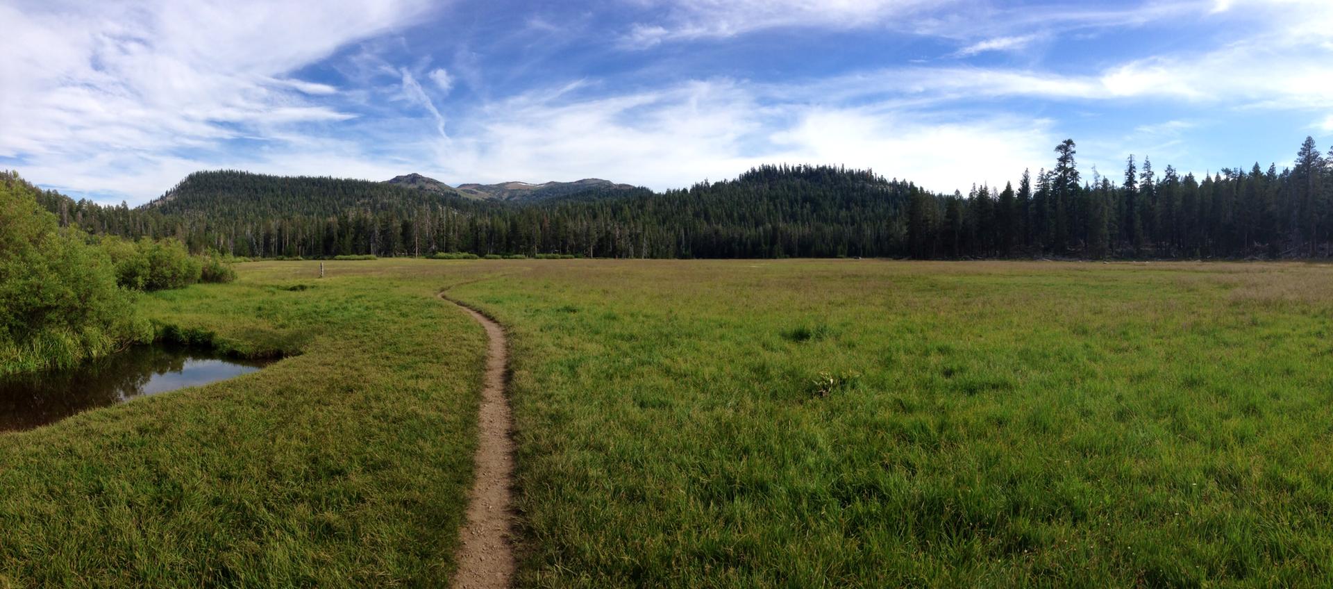 Panoramic view of a dirt trail through a green meadow next to a stream.