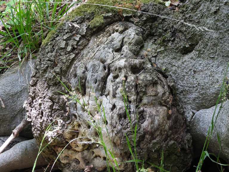 Alte Kultstätte ) Wanderungen und Rundwege komoot