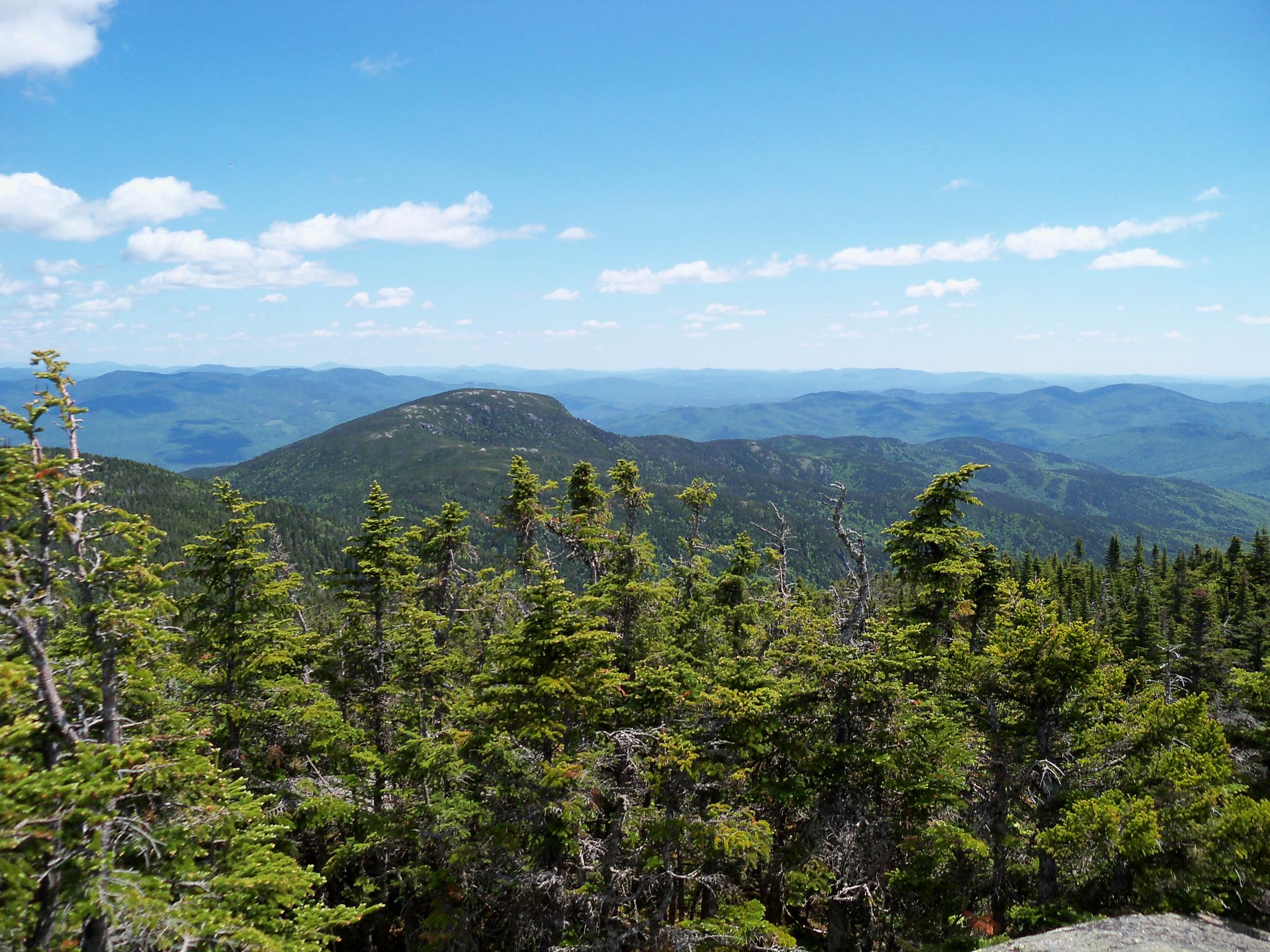 Vast mountain range covered in green trees under a bright blue sky.