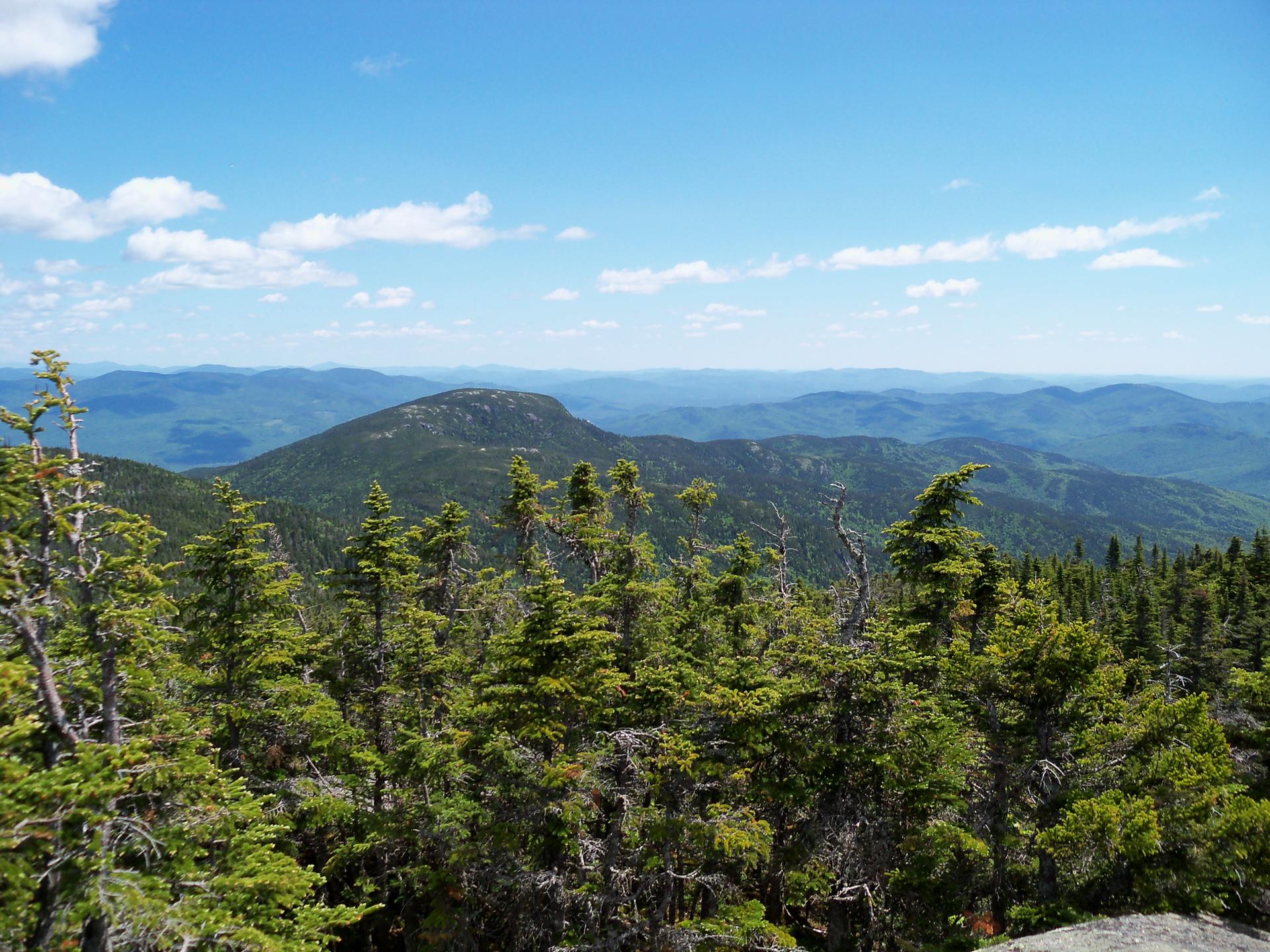 Vast mountain range covered in green trees under a bright blue sky.