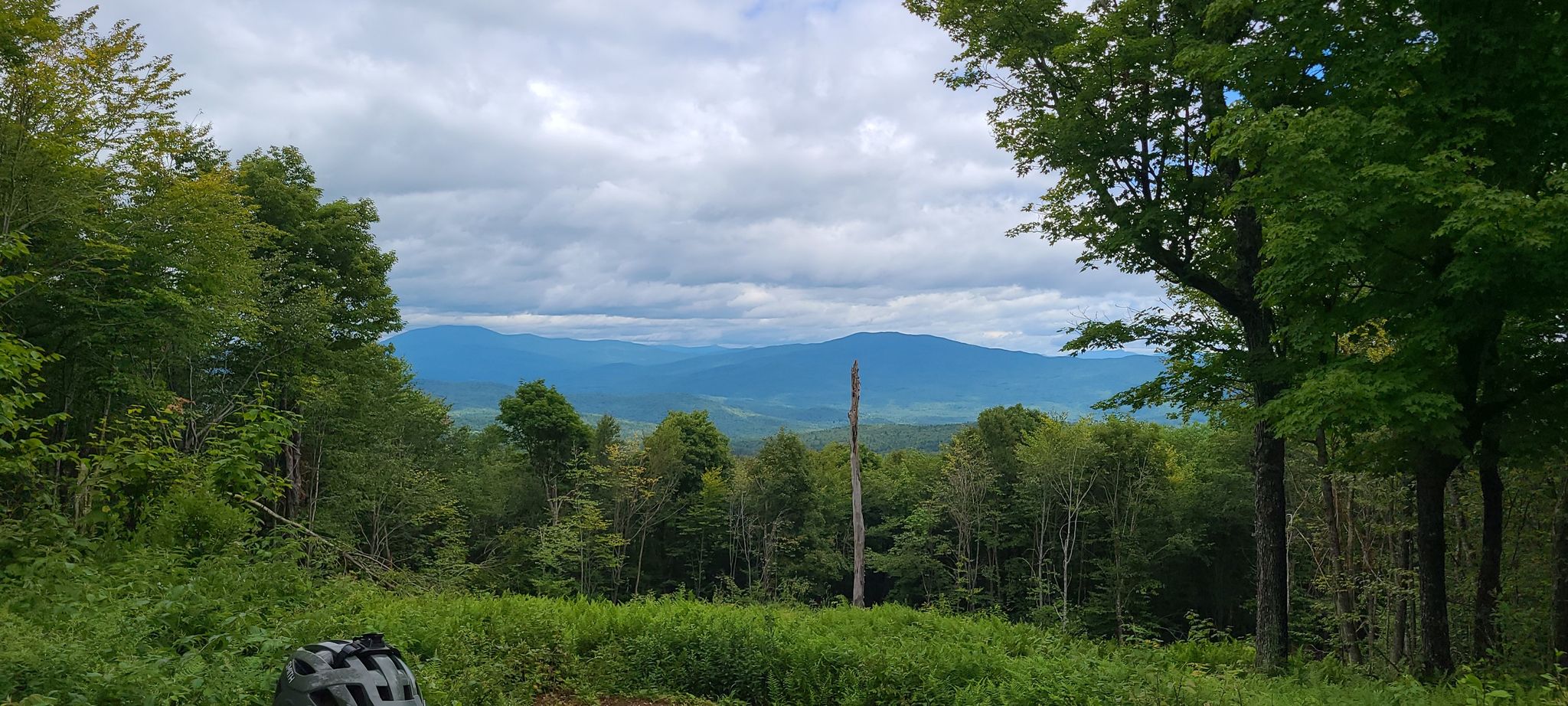 Panoramic view of distant mountains and valleys from a forest clearing. - Green Woodlands loop