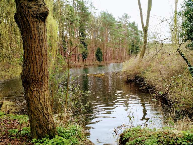 Welton Dale & Elloughton Dale loop on the Yorkshire Wolds Way hike