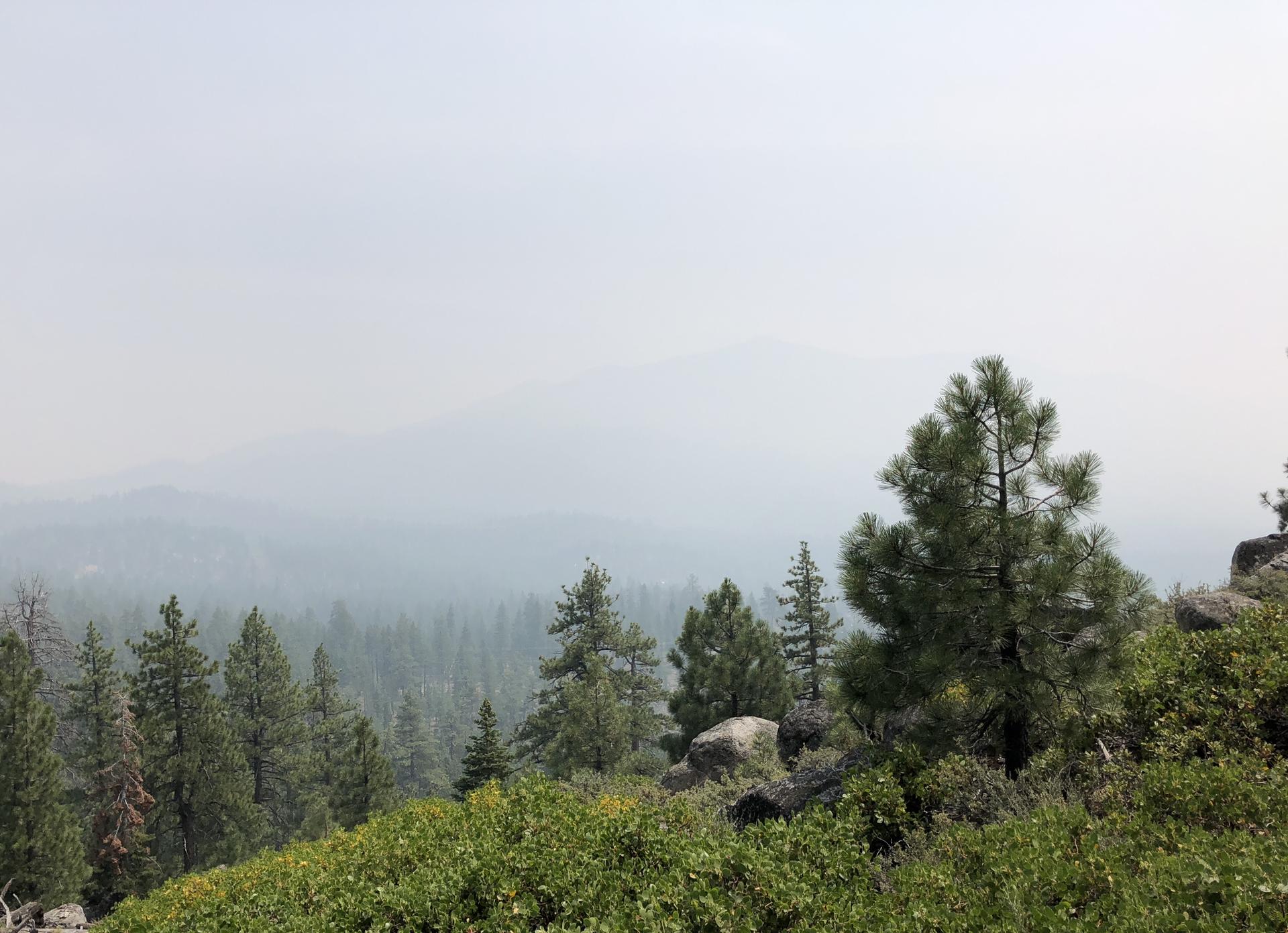 Hazy view of a forested valley and distant mountains under a muted sky.