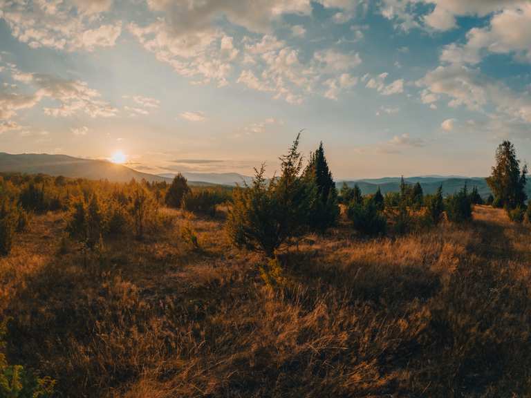 Galiavina oberhalb von Remetia Wanderungen und Rundwege komoot