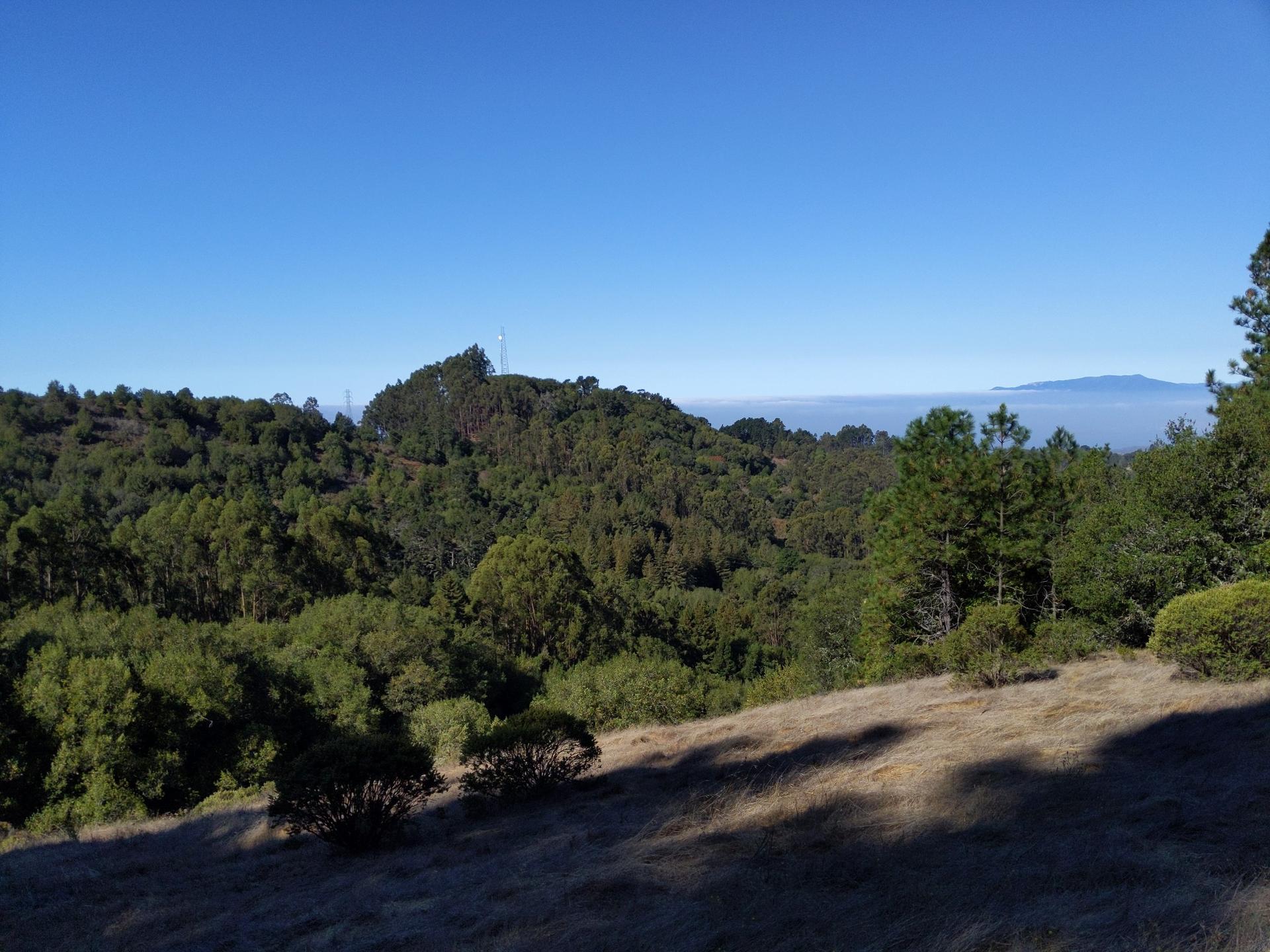 Panoramic view of forested hills under a clear blue sky.