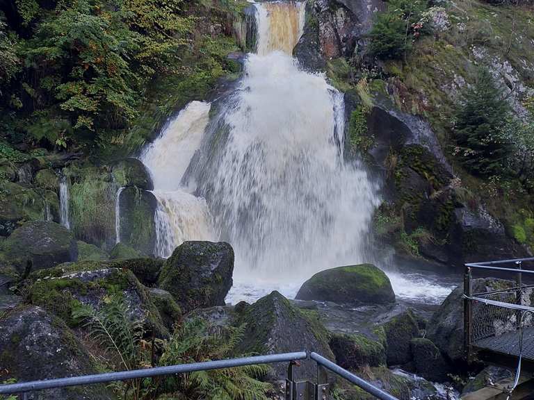 Wasserfälle Triberg – Triberger Wasserfälle Runde von Auf'm Bühl ...