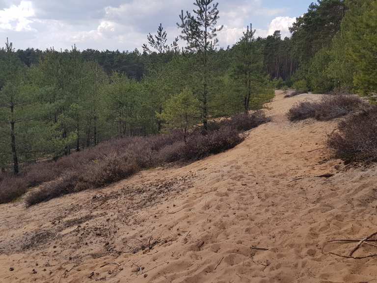 Fränkischer Dünenweg Wanderungen und Rundwege komoot