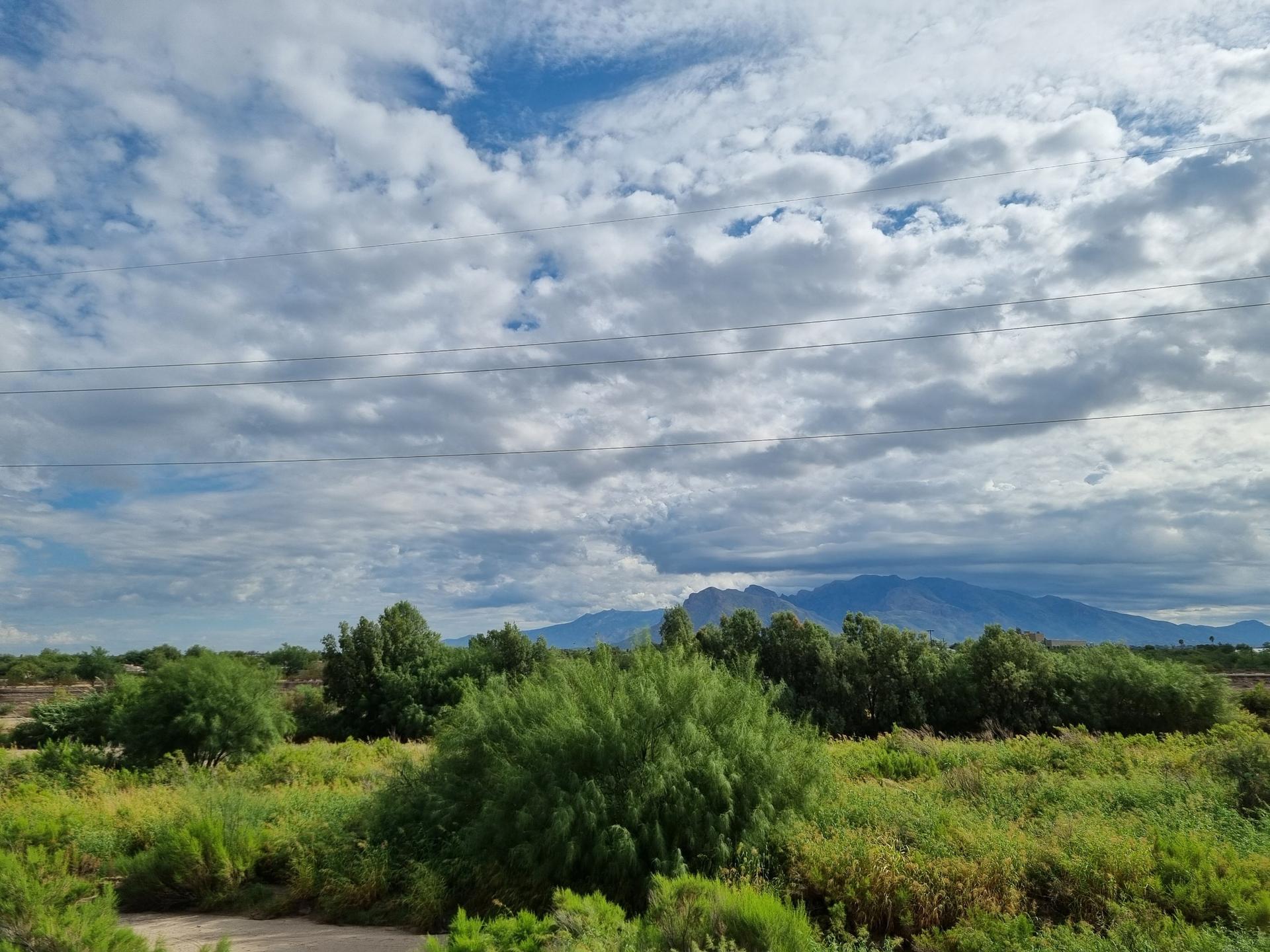 Lush green landscape with trees and bushes under a cloudy sky, distant mountains.