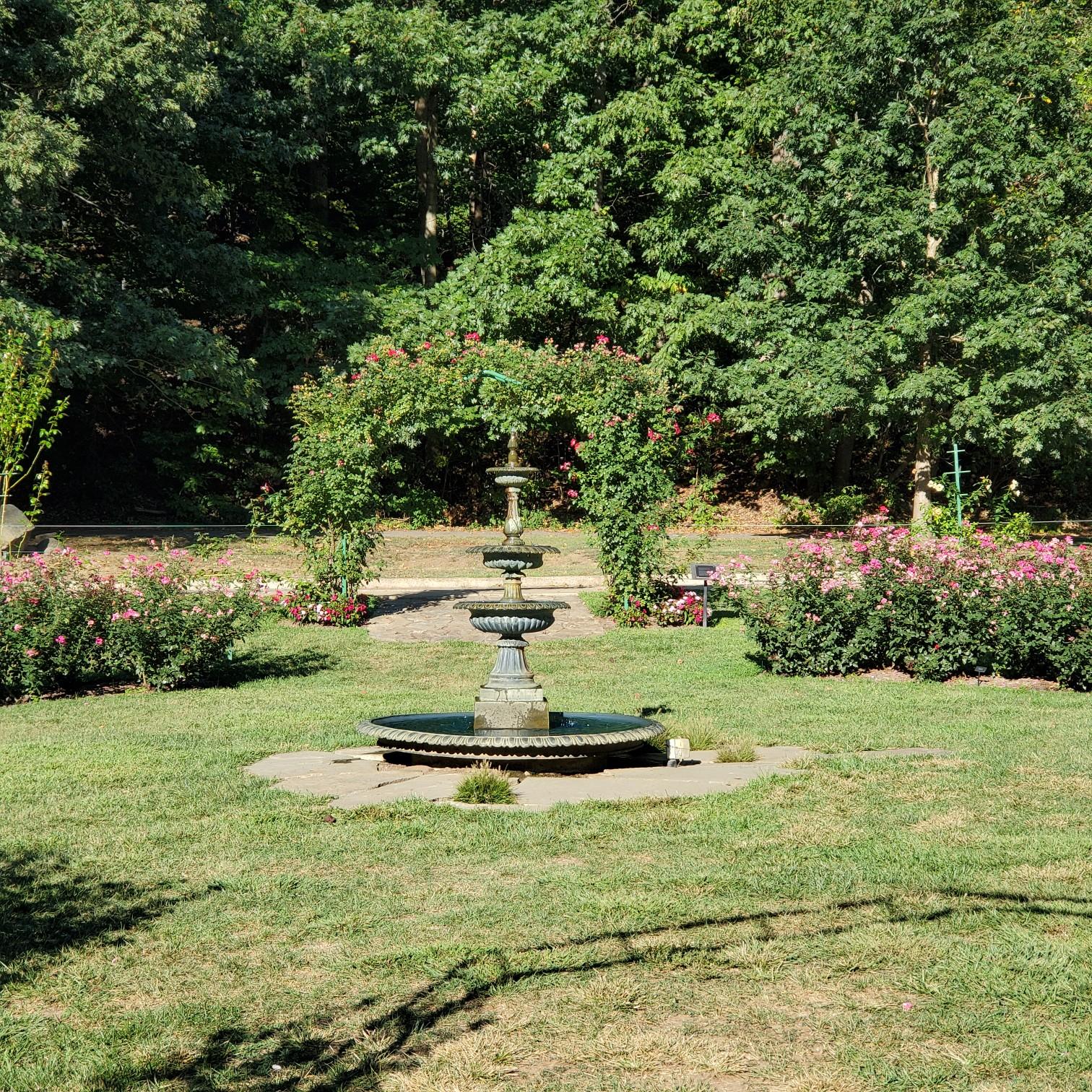 A stone fountain stands in a sunny garden with rose arches and green trees.