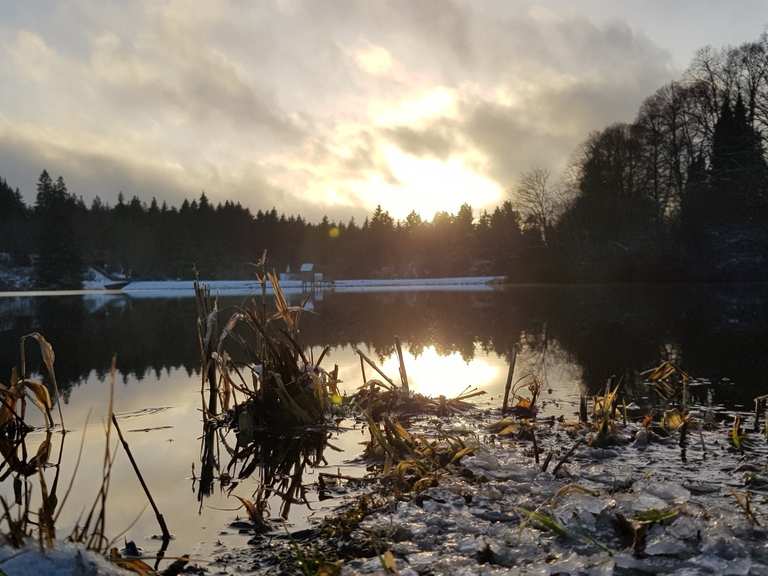 Grumbacher Teich Kuttelbacher Teich Runde von Hahnenklee Wanderung