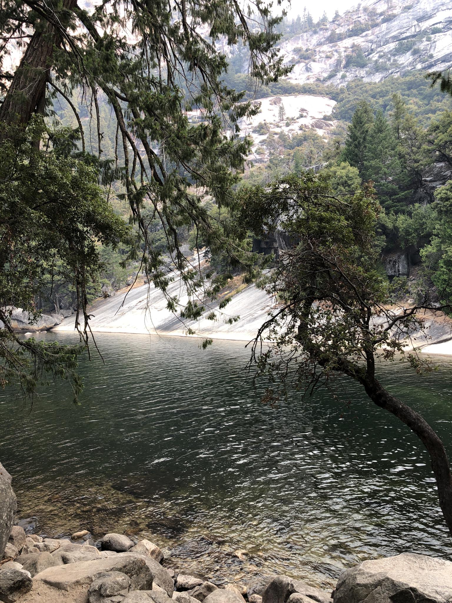 Dark lake water with a white bank, framed by green pine trees.