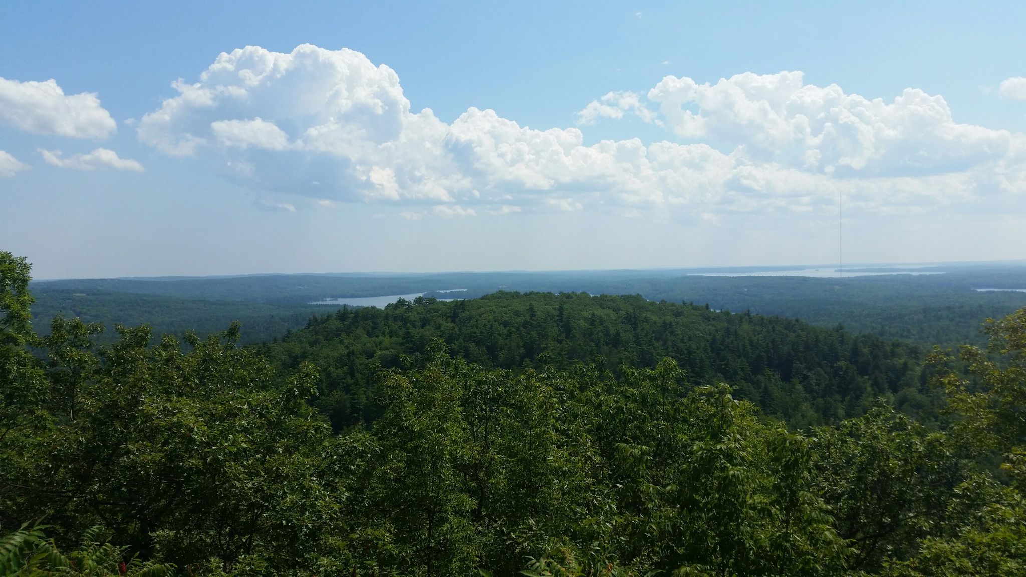 Expansive green forest landscape with distant water under a bright, cloudy sky. - Bri-Mar Trail