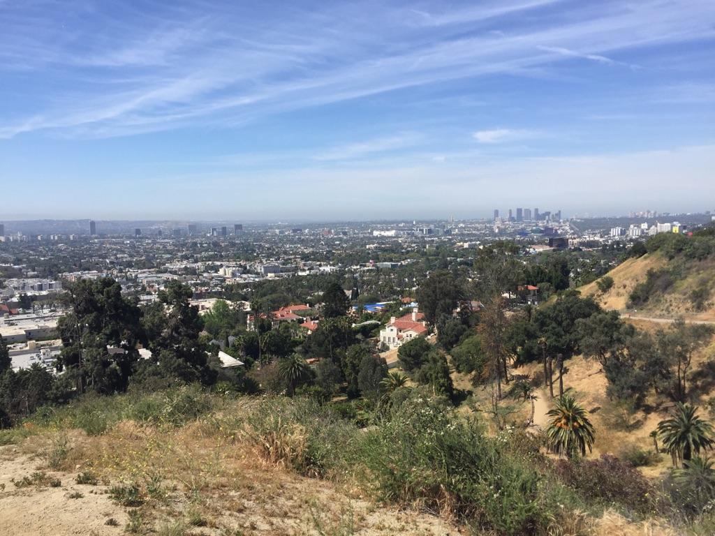 Overlooking a sprawling city from a dry, brush-covered hillside on a clear day.