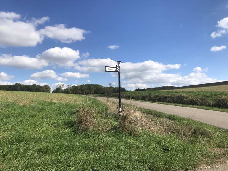 👈👉 Wegweiser aus der Zeit des Württembergischen Königs Wanderungen und