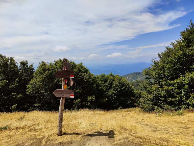 Monte Falco Monte Falterona Itinerario ad anello da Valagnesi escursione komoot