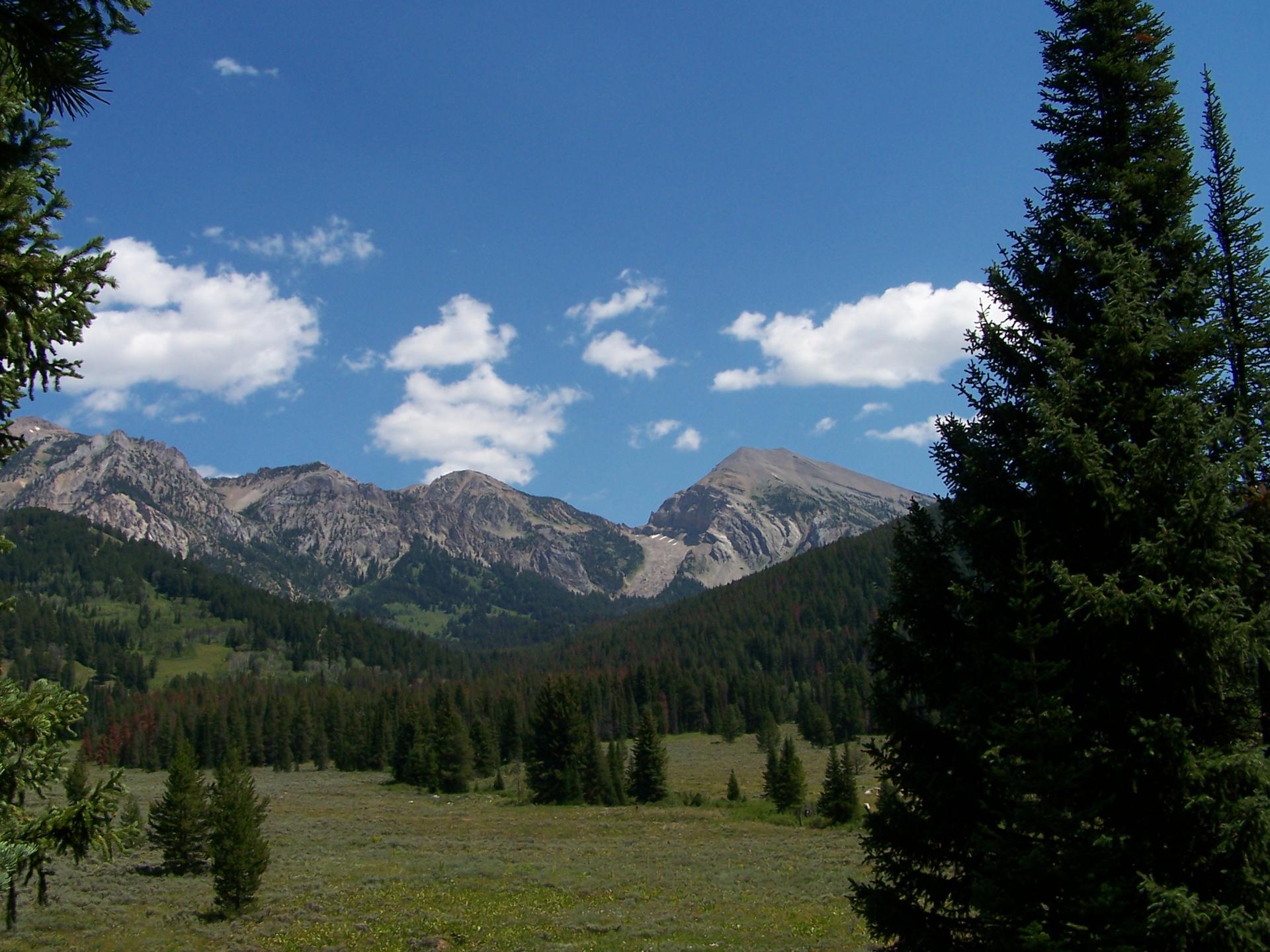 Majestic mountains overlook a green forest and meadow under a blue sky.