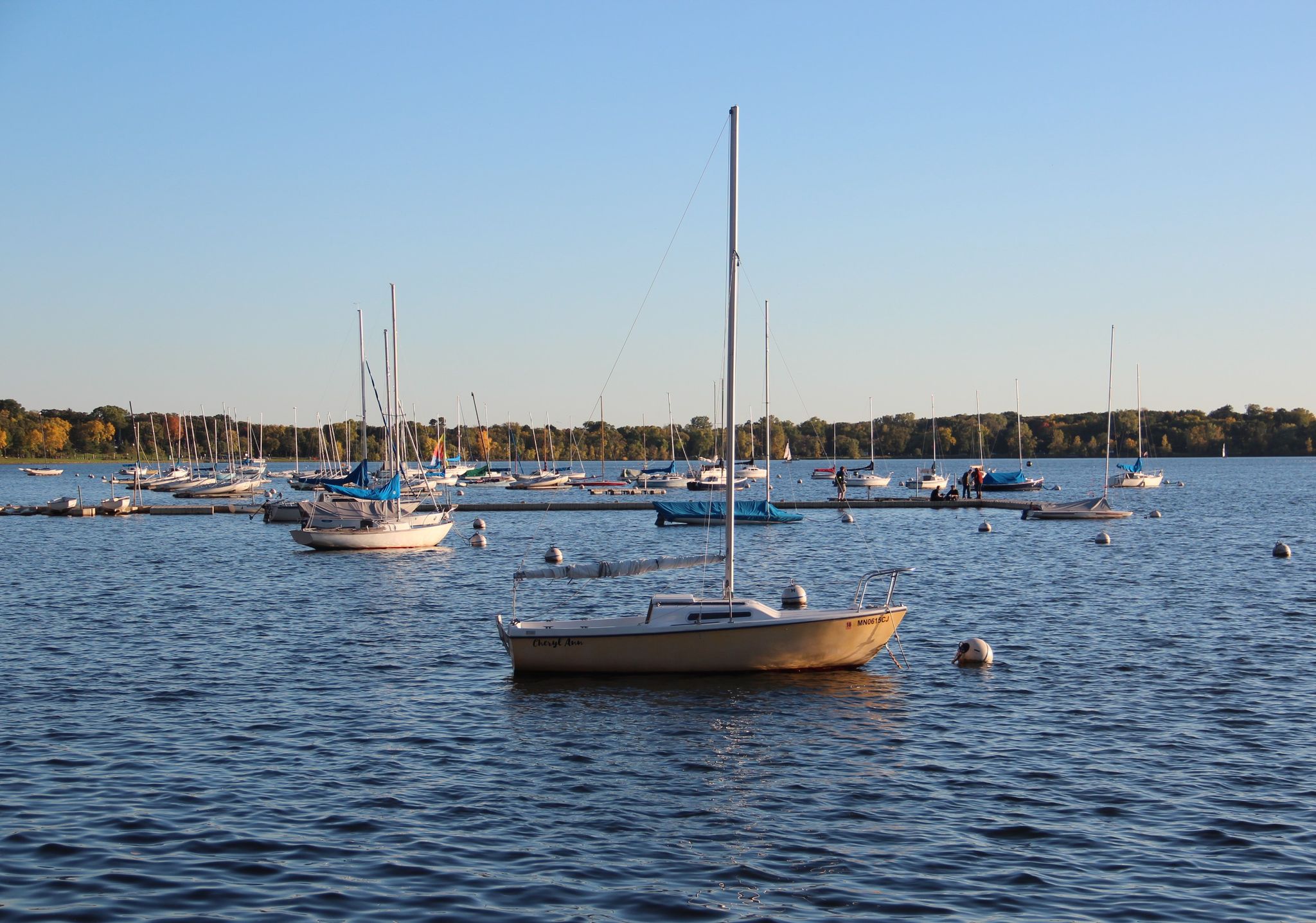 Numerous sailboats dot a calm lake under a clear blue sky. - Grand Rounds National Scenic Byway
