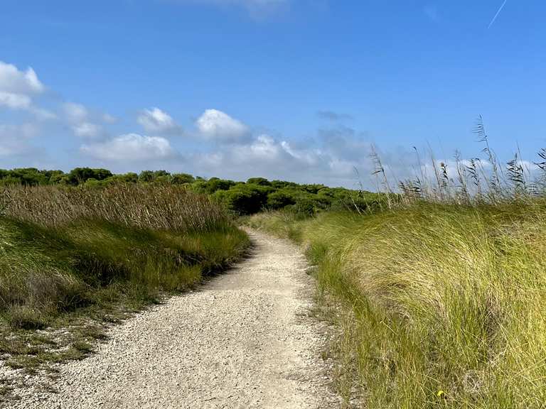 Riserva Naturale Le Cesine : percorsi escursionistici e trekking | Komoot