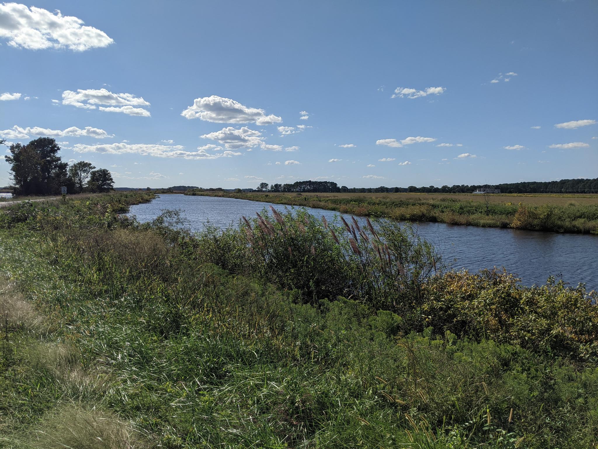 Sunny day over a wide canal flowing through green and brown fields.