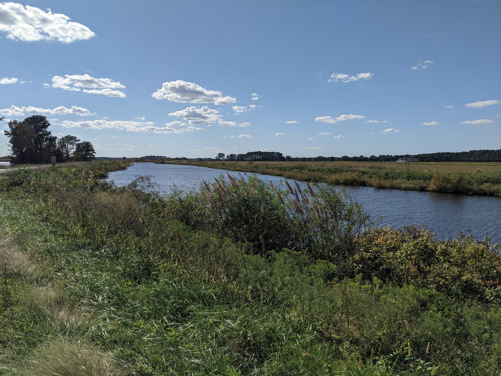Sunny day over a wide canal flowing through green and brown fields.