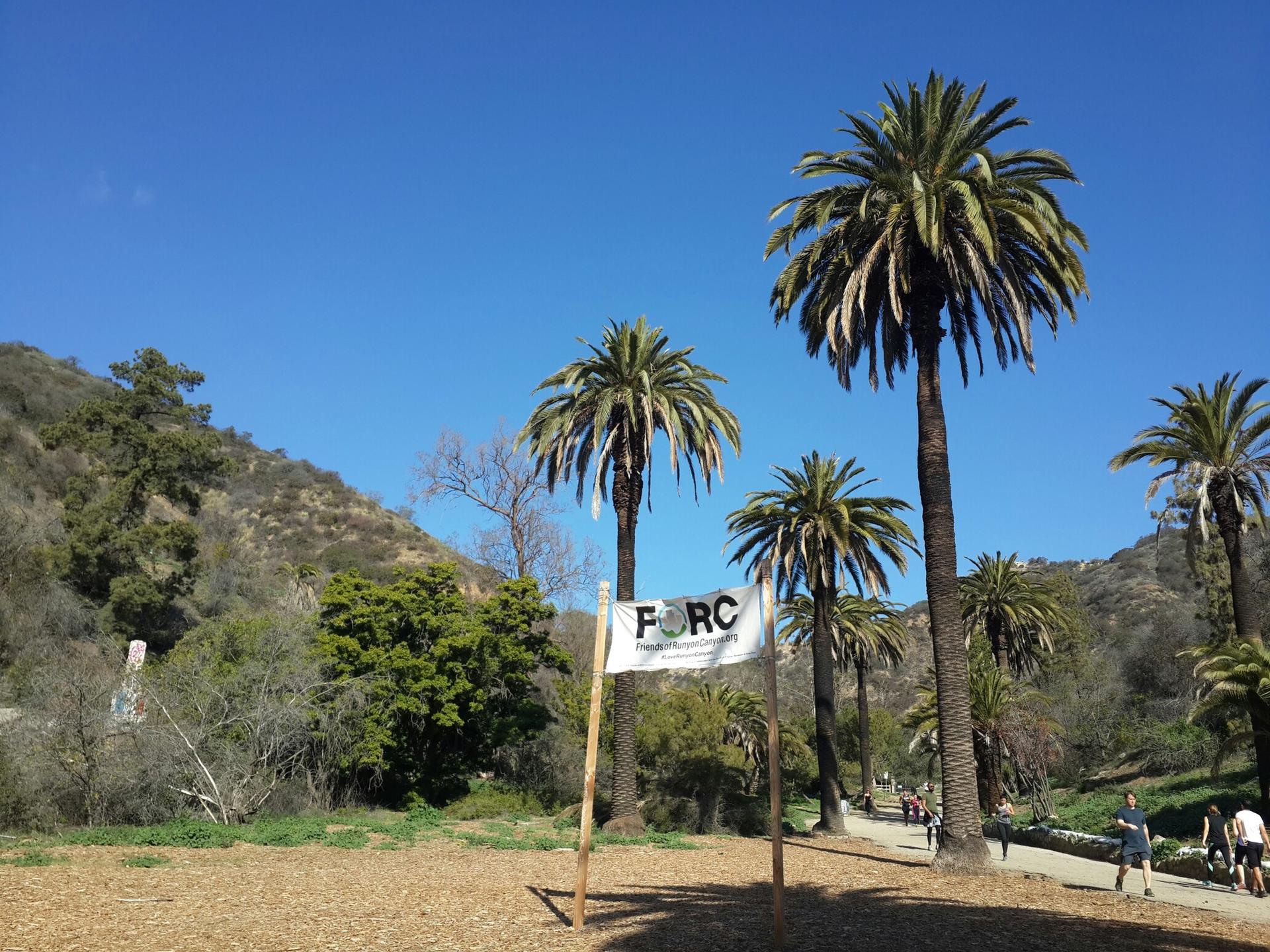 Sunny landscape with tall palm trees, hills, and distant walkers.