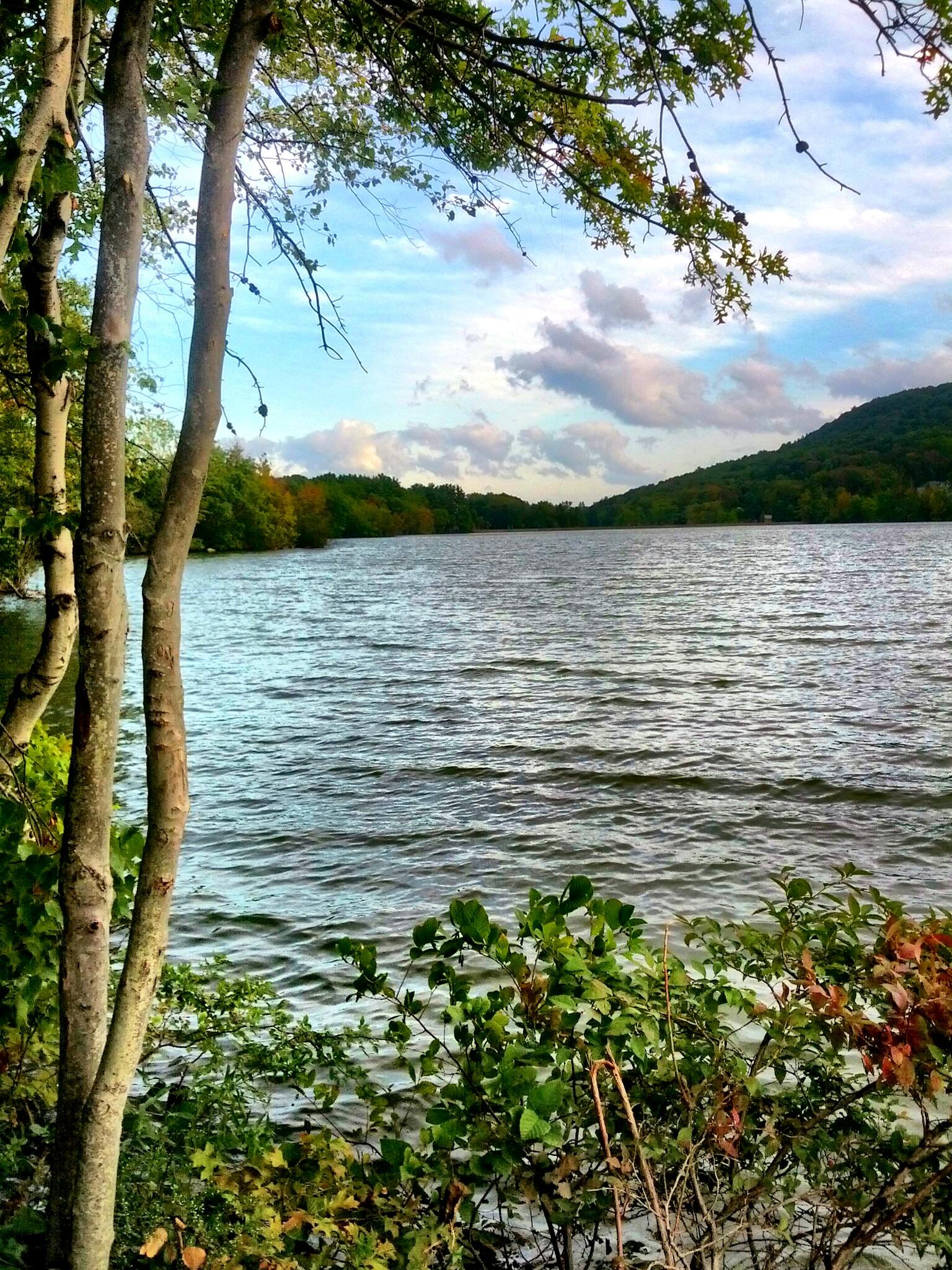 A serene lake framed by trees, with distant hills under a partly cloudy sky.