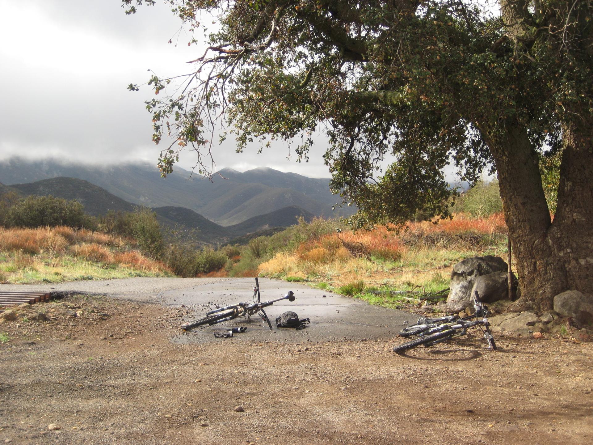 Two mountain bikes resting under a large tree with cloudy mountains in background.