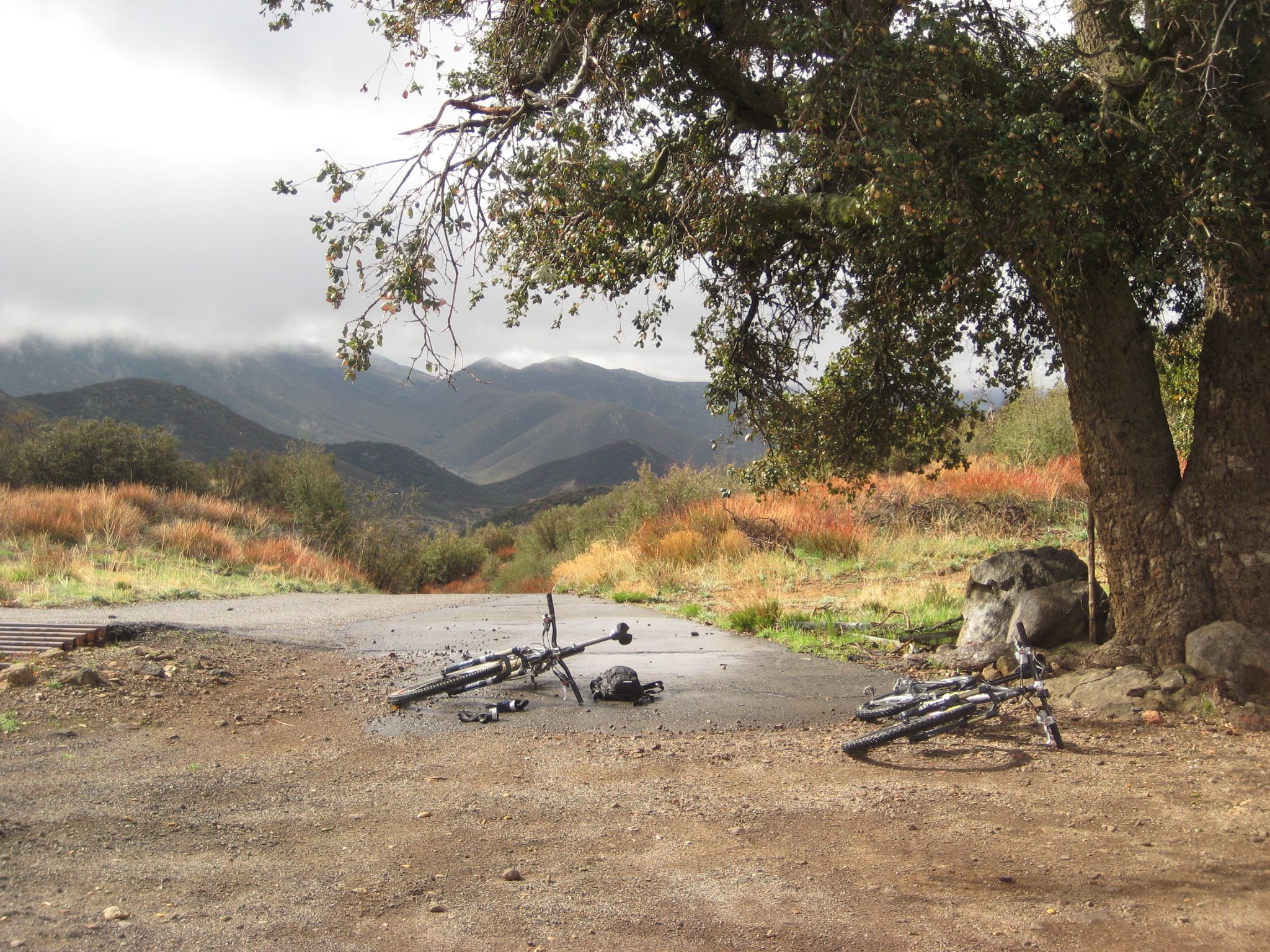 Two mountain bikes resting under a large tree with cloudy mountains in background. - Noble Canyon Loop