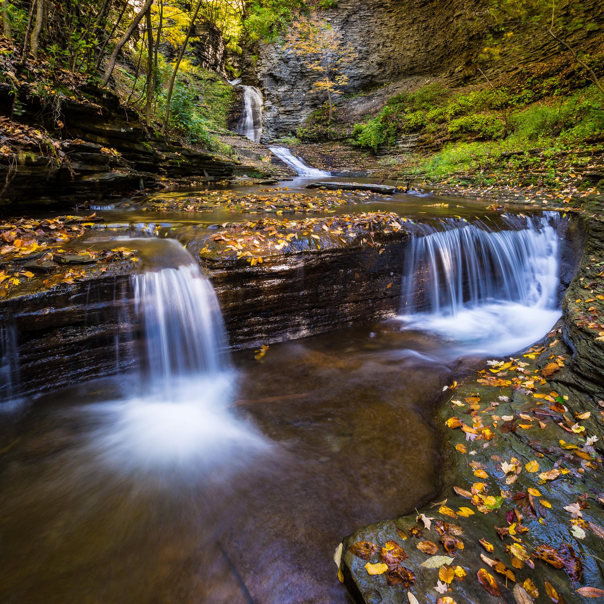 Small waterfalls cascade over rocks in a gorge, covered with autumn leaves.