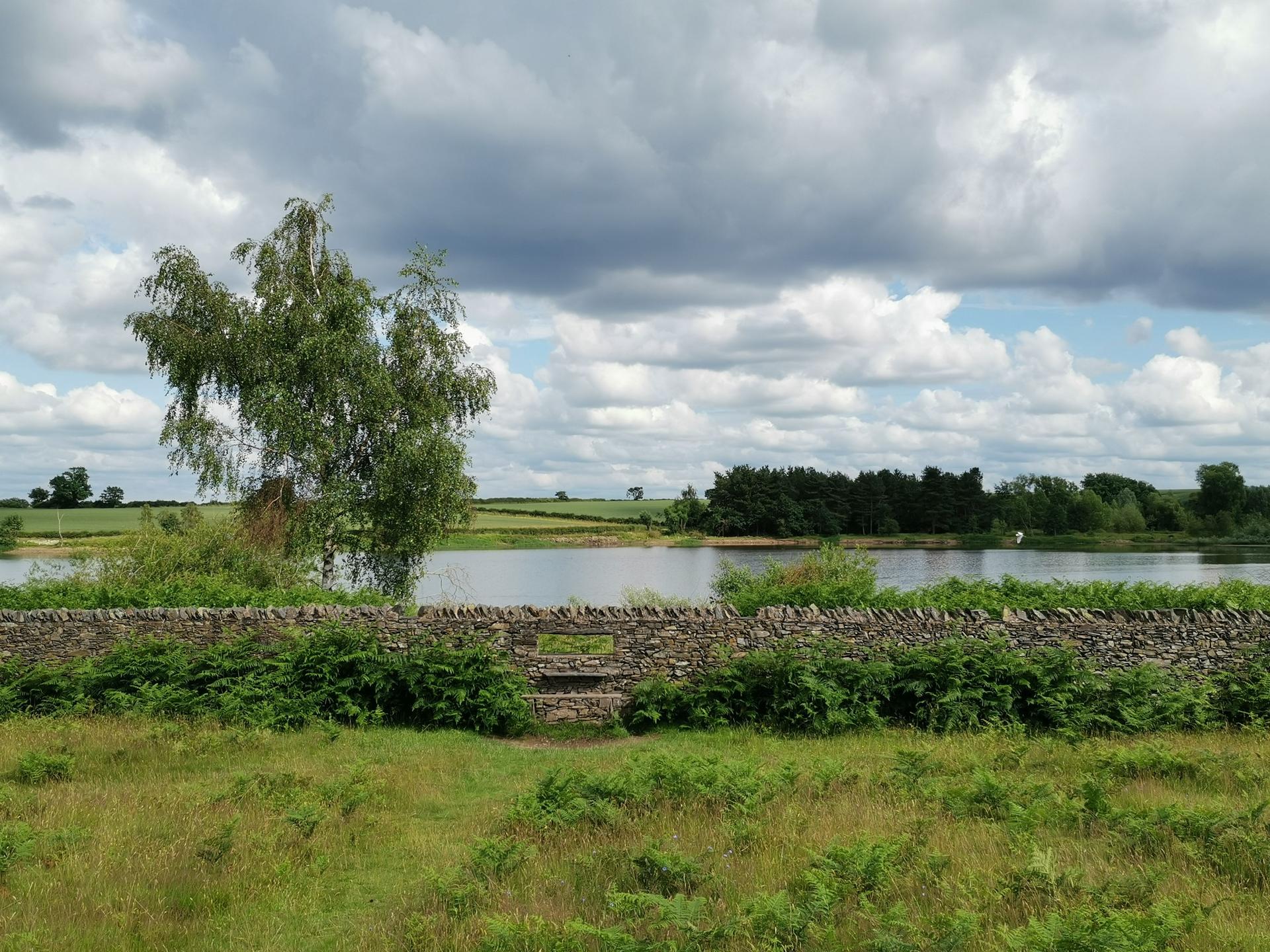 Los mejores 20 lagos en Leicestershire | Komoot, image size:1920x1440