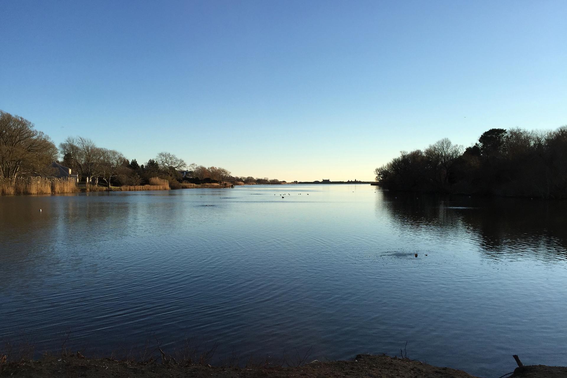 Expansive calm water under a clear blue sky, with trees and reeds on banks.