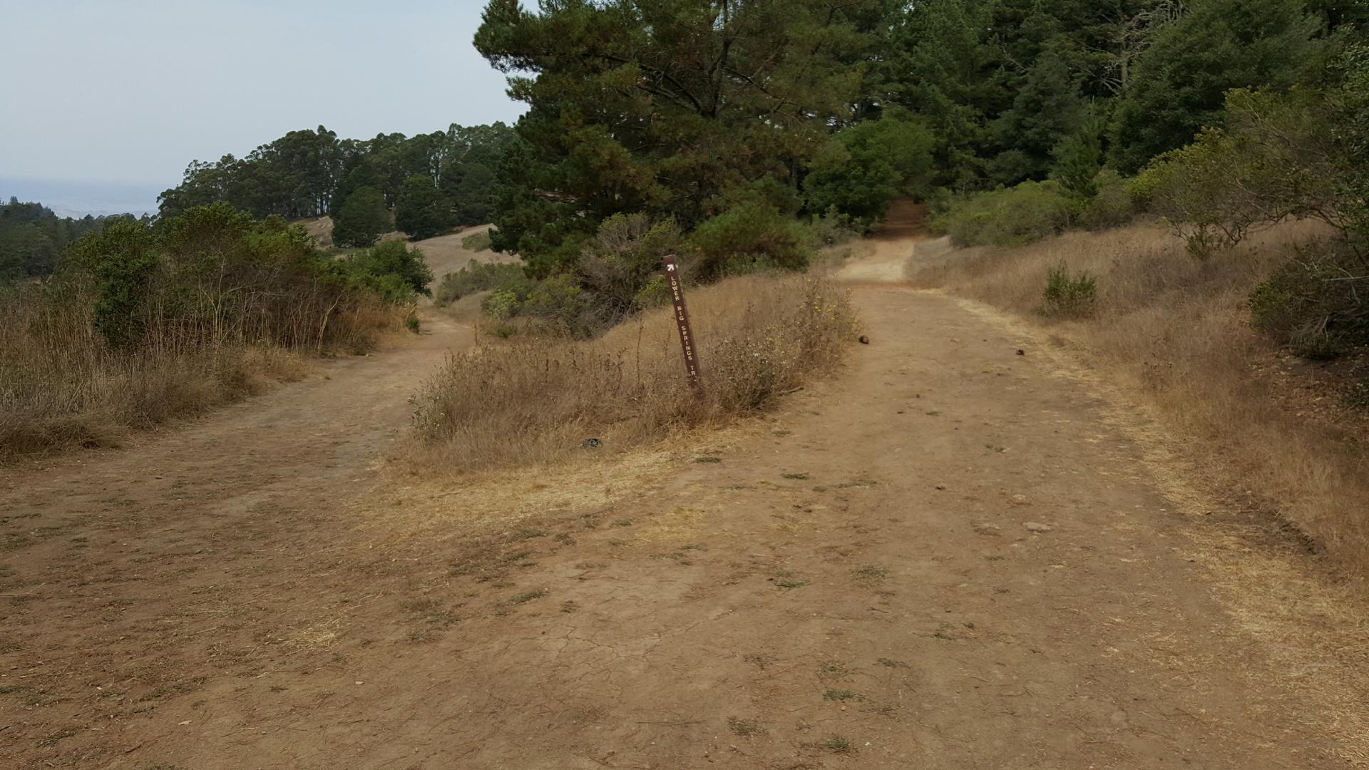 A dirt trail forks on a dry, grassy hillside under an overcast sky.