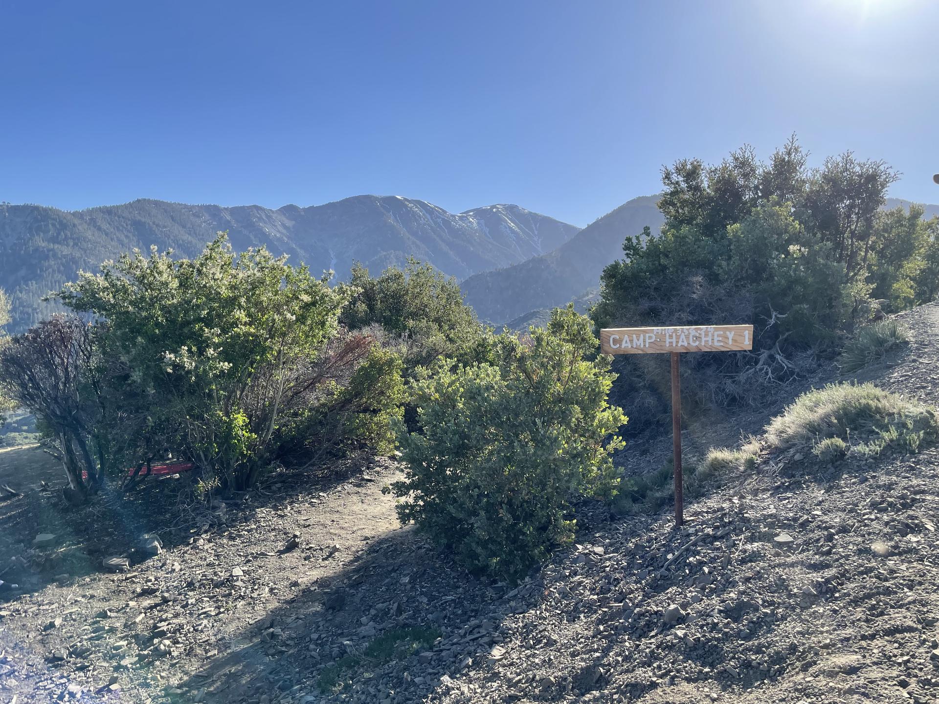 Wooden sign on a sunny, shrub-covered hillside with distant mountains.