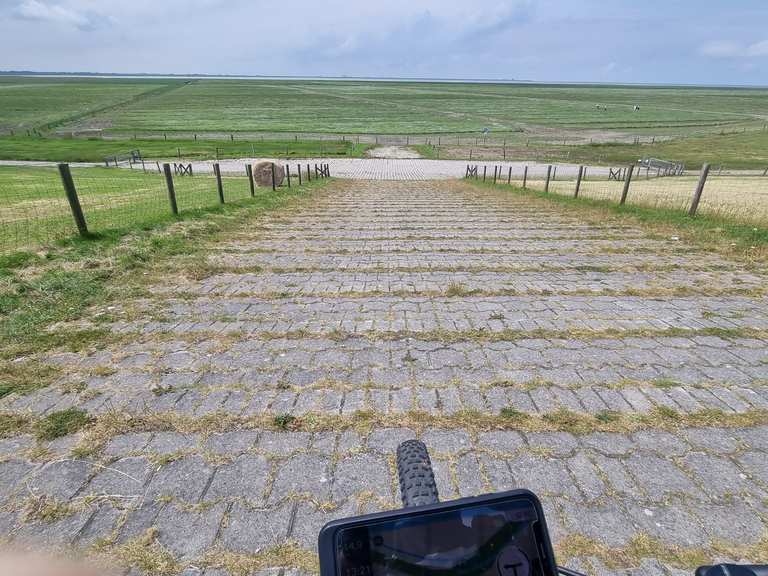 Wunderschöne Aussicht Deichübergang Runde von Westermarsch II