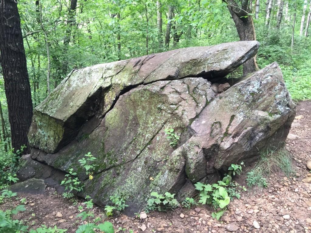 Large mossy boulder split in two on a shaded forest floor.