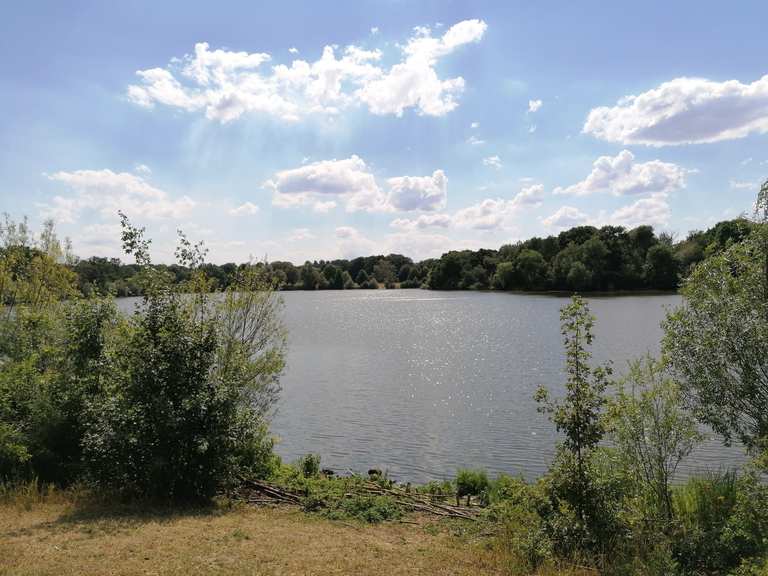 Grosser Schillerteich Wolfsburg Radtouren und Radwege komoot