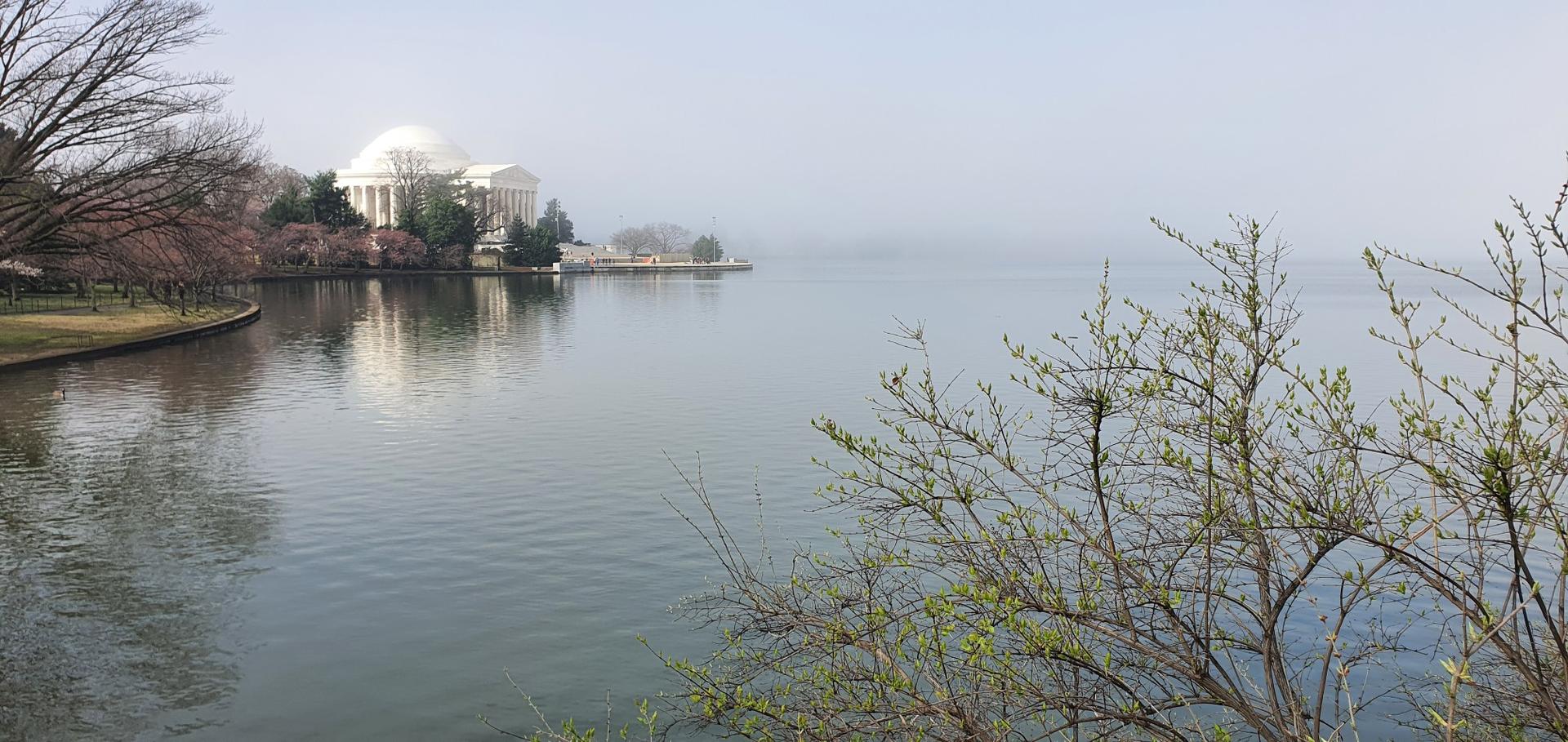 A hazy lake scene with a distant domed building and bare tree branches.