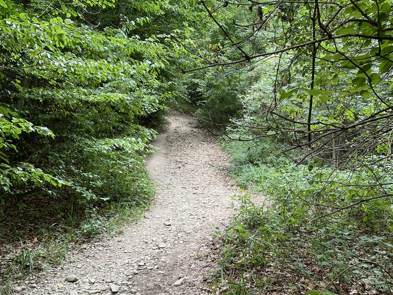 Alte Trasse der Zahnradbahn: Wanderungen und Rundwege | komoot