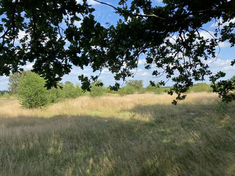 ein Hügelgräberfeld MountainbikeTouren und Trails komoot