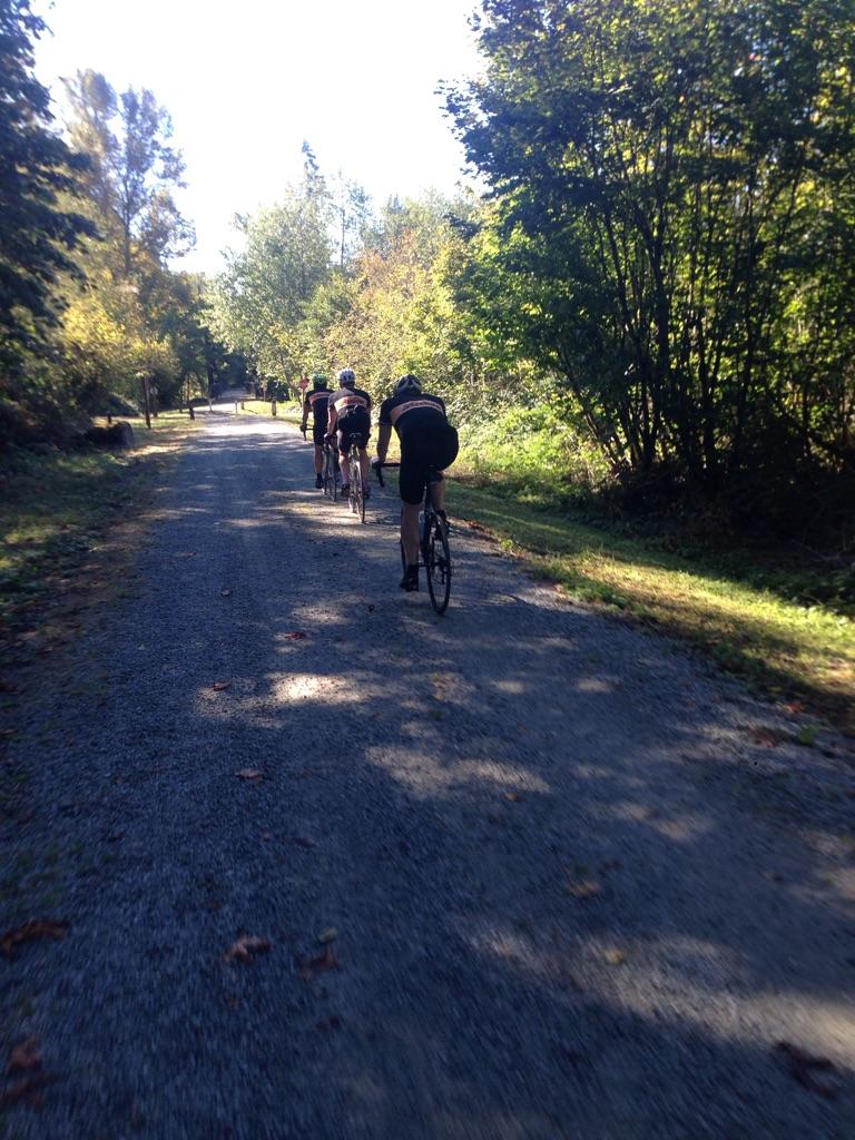 Three cyclists ride on a sunny gravel path through dappled light.