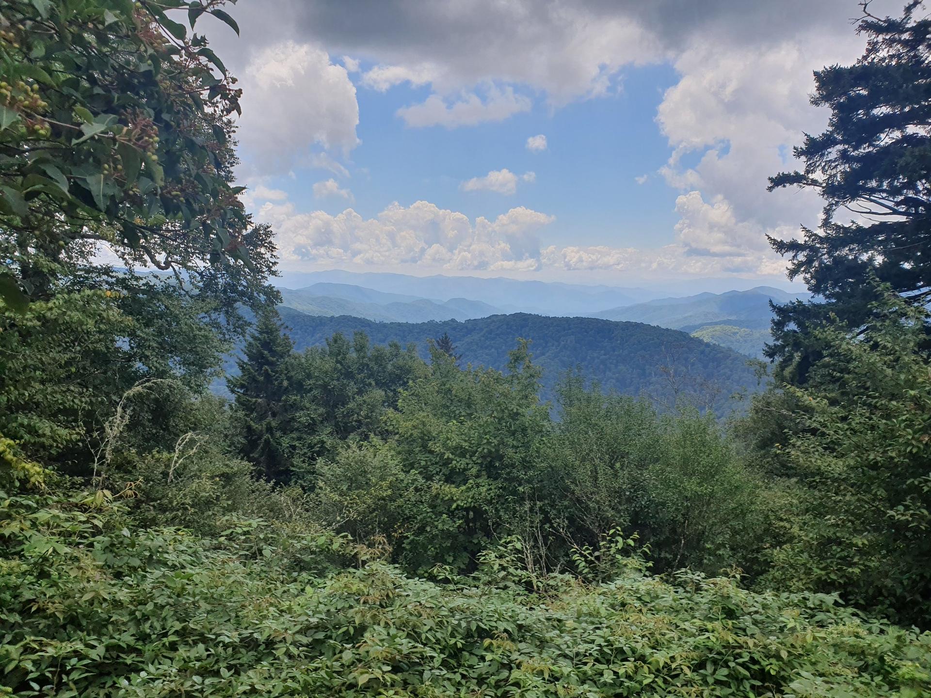 Expansive view of green forested mountains under a partly cloudy sky.