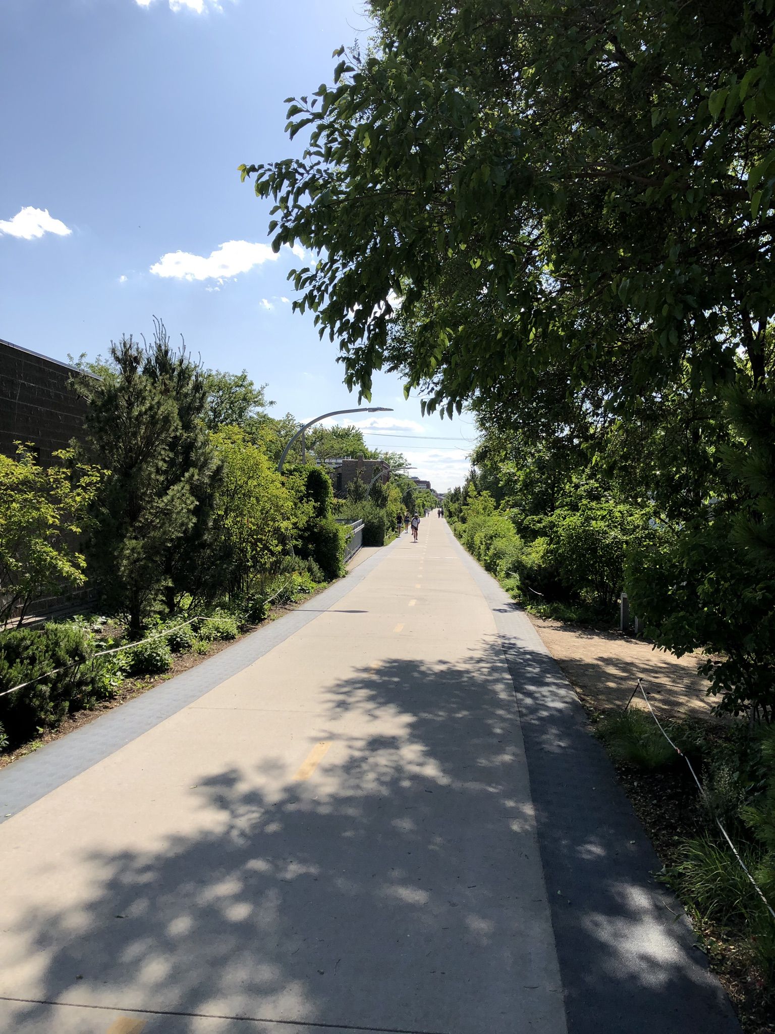 Sunny paved path lined with green trees, a person walks in the distance. - Bloomingdale Trail