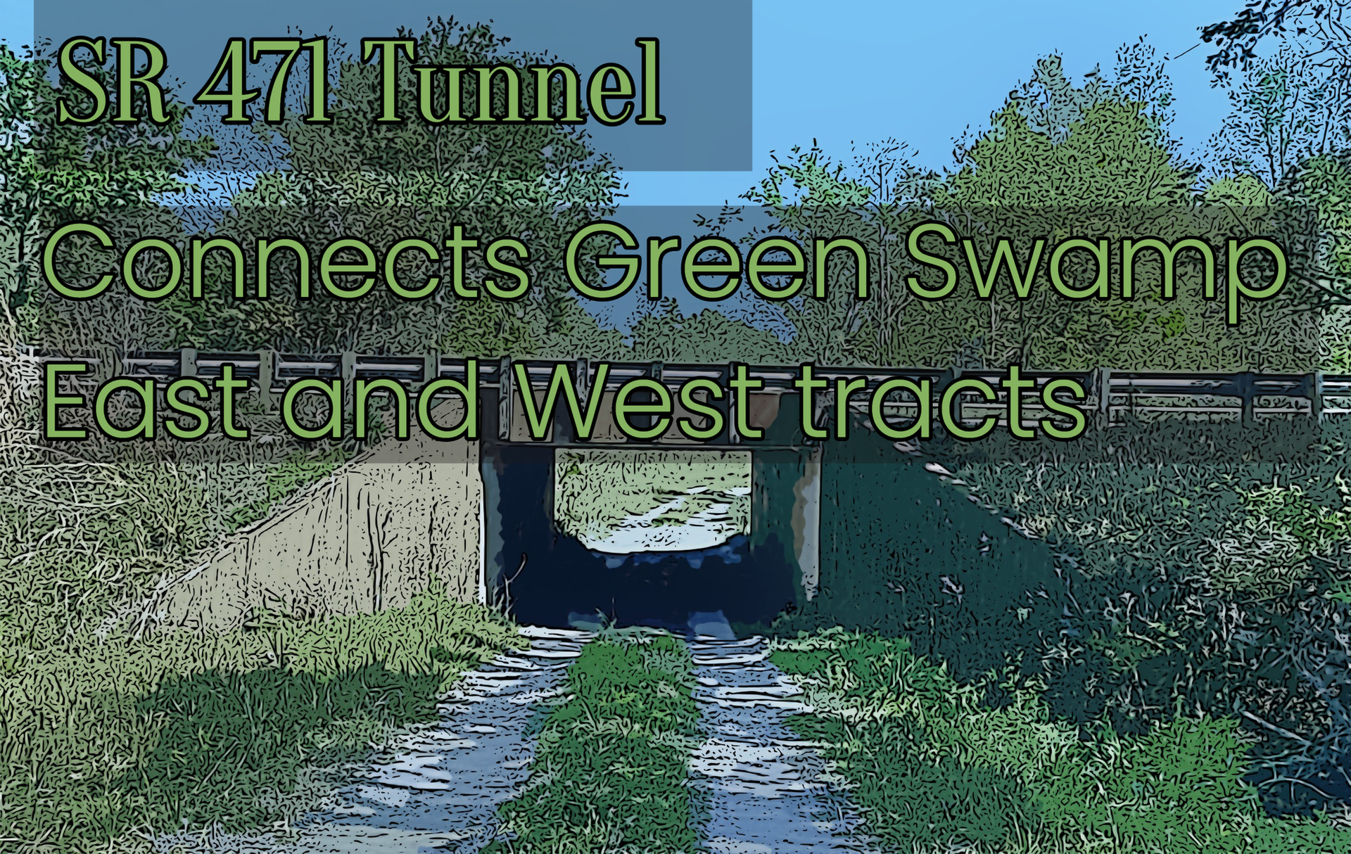 A grassy path leads through a dark concrete tunnel under a road.