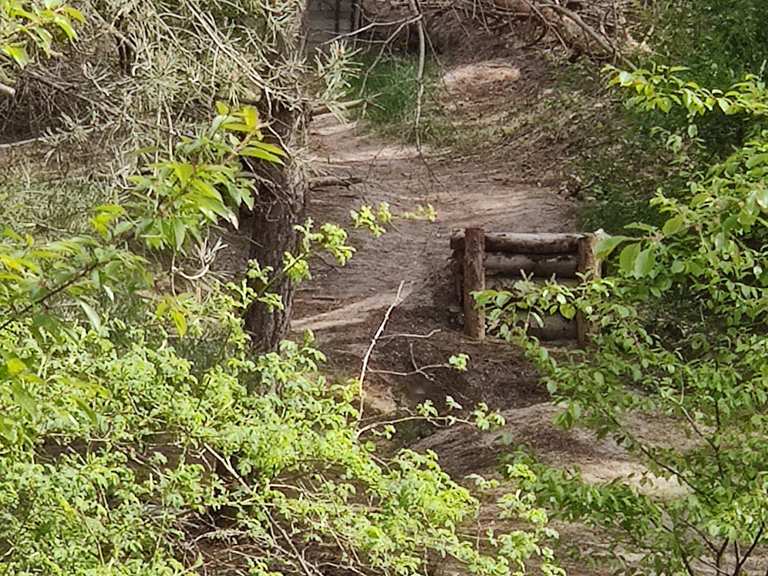 lehrpfad-entlang-am-muldestausee-mountain-bike-trails-tracks-komoot