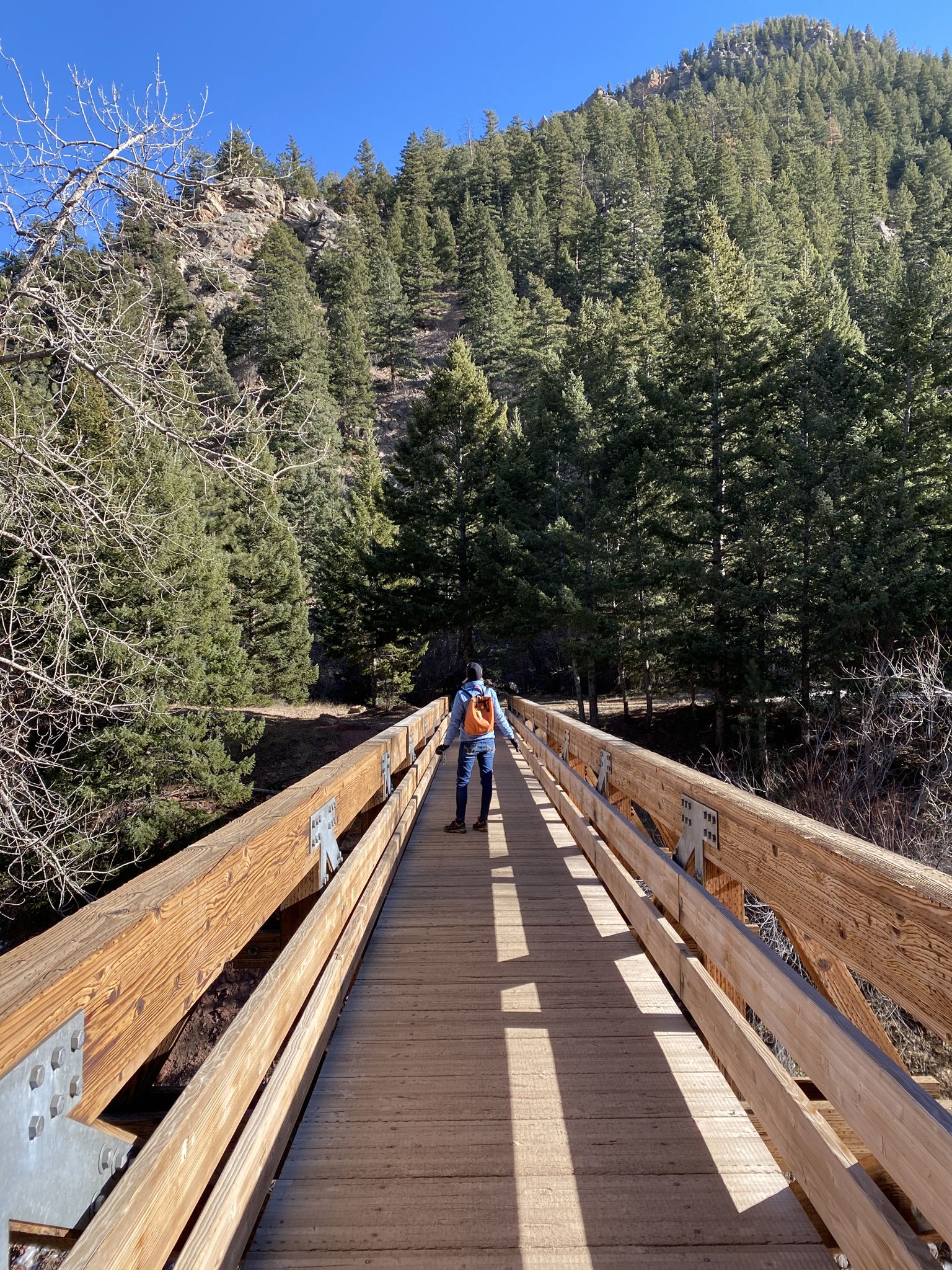 Person with backpack walking on a wooden bridge through a sunny, forested valley. - Rattlesnake Gulch Loop