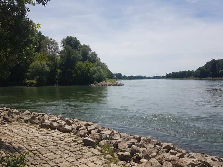 arbeitsagentur rhein neckar kreis
