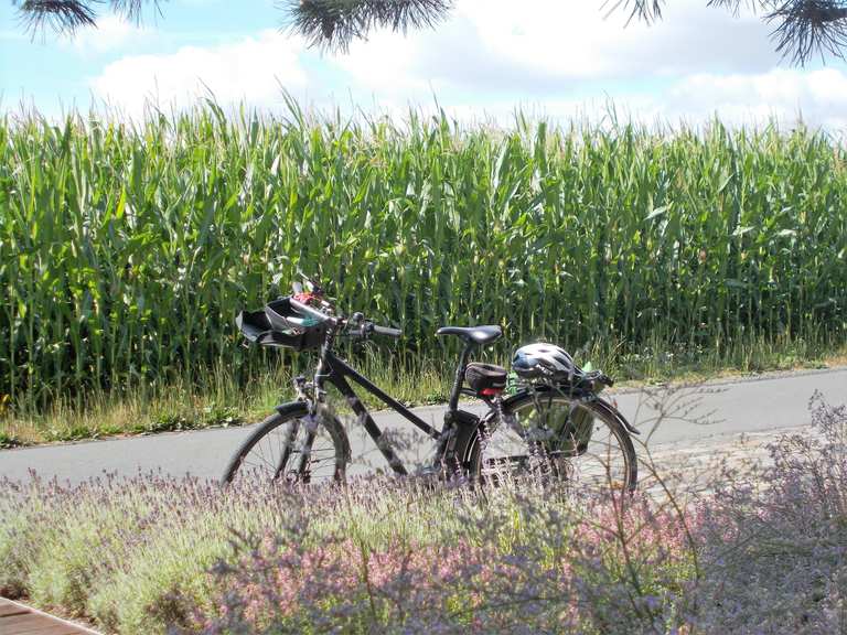 Telgter Gartenbau Rastplatz - Cycle Routes and Map | Komoot