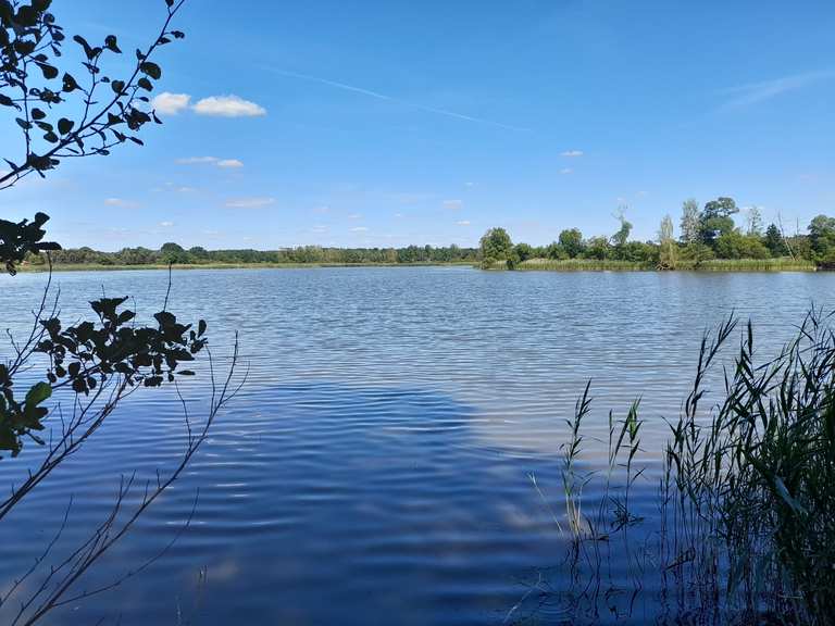 Oberteich und Mittelteich Zschornaer Teichgebiet Runde von Ottendorf
